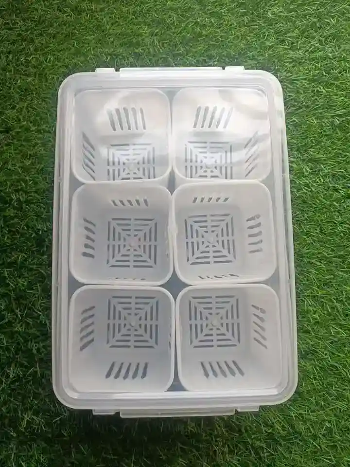 6 Grid Fridge Storage Box